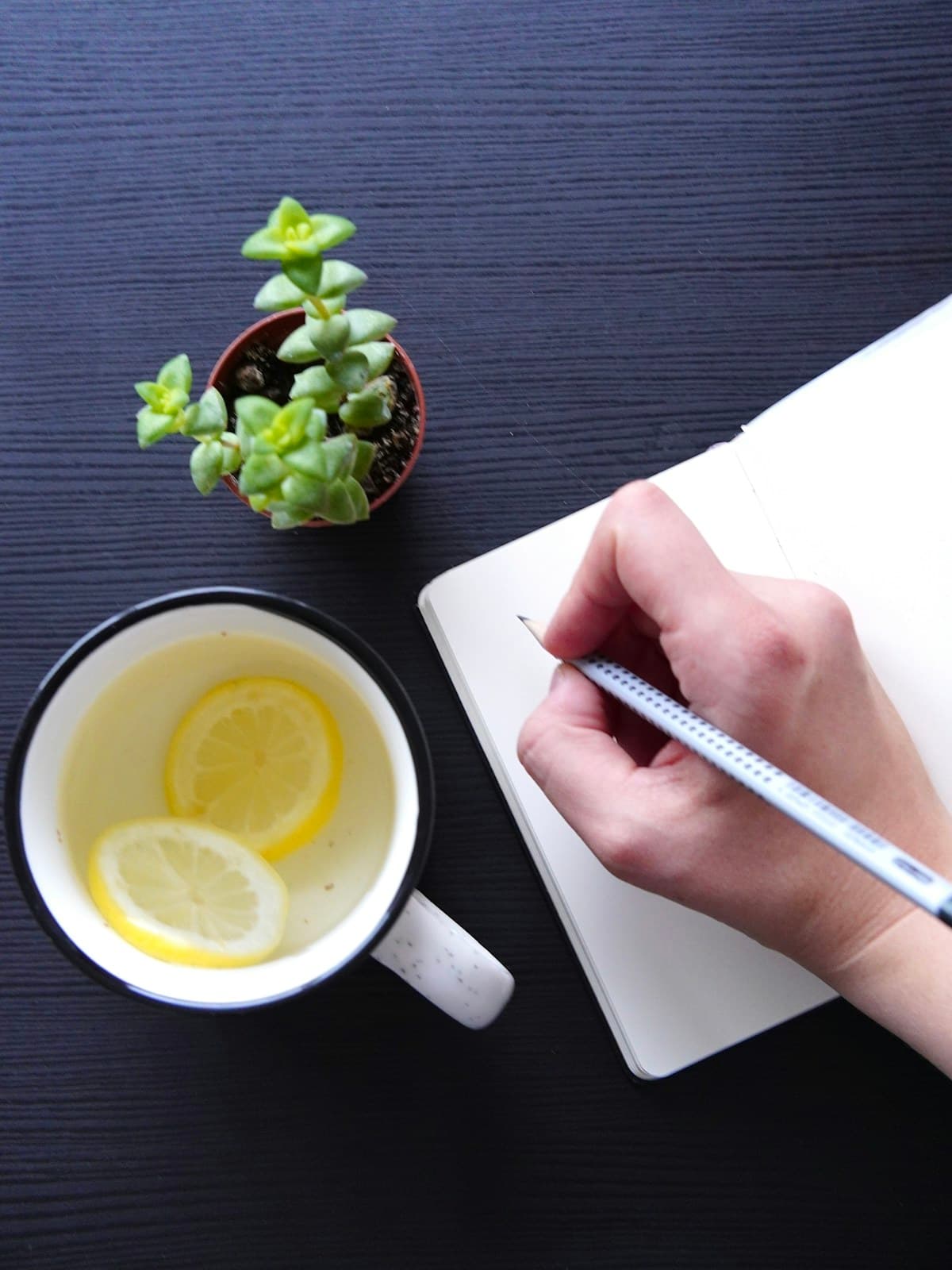 Una mano escribiendo en un cuaderno junto a un vaso de agua con limón y una planta pequeña
